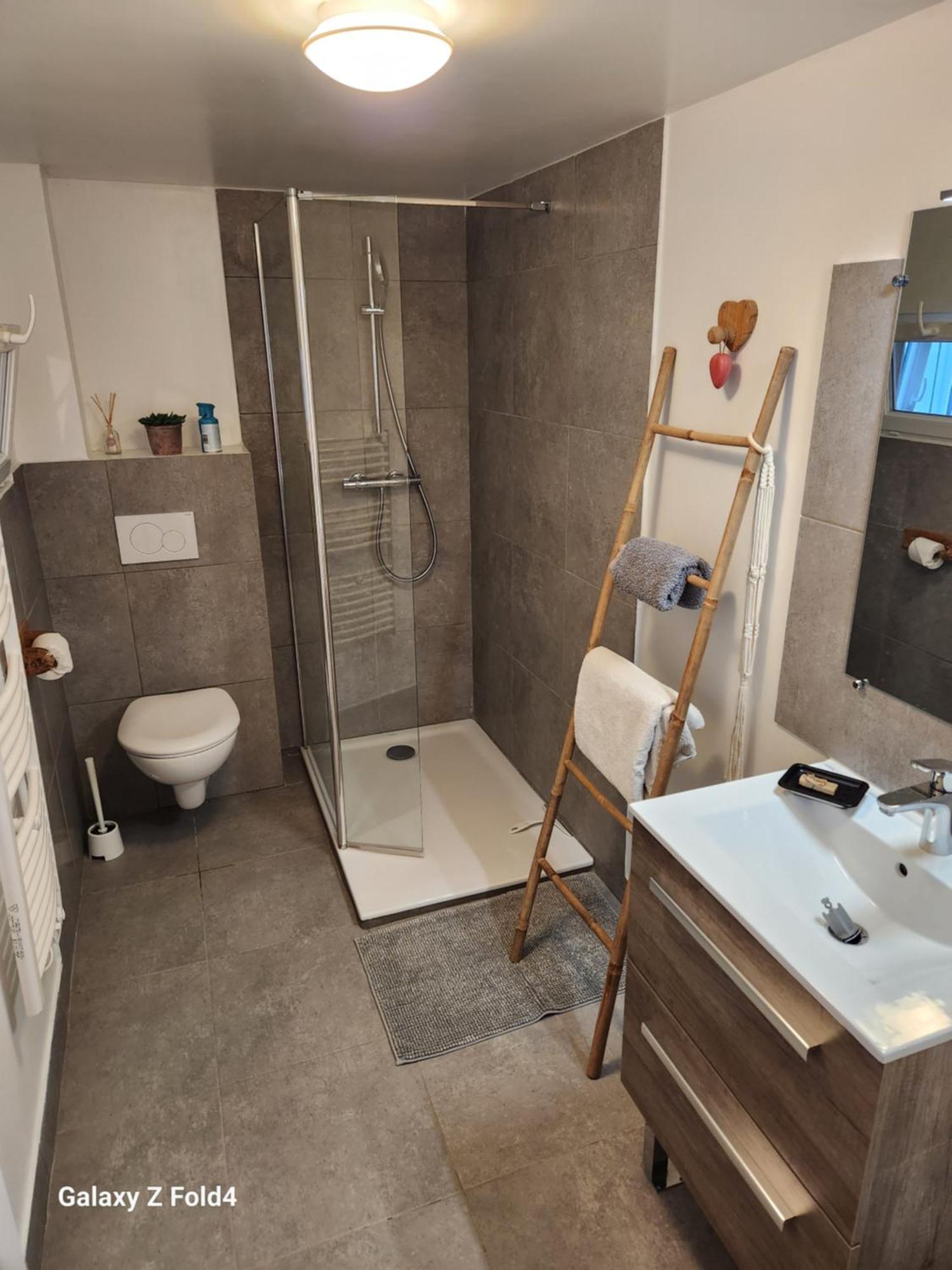 Apartmán Figuets 3 Chateauneuf-de-Galaure Exteriér fotografie